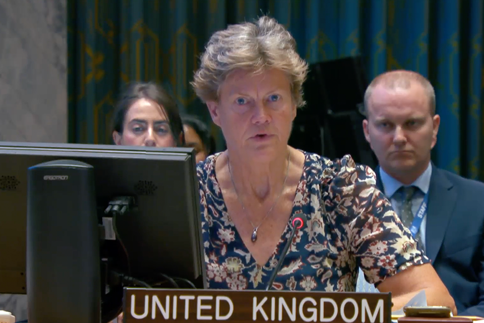 Imagem relacionada à notícia: As partes devem acabar com o sofrimento concordando com um cessar-fogo agora: declaração do Reino Unido no Conselho de Segurança da ONU