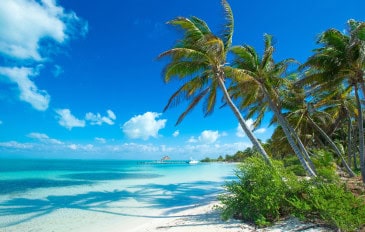 IA está ajudando a fazer praias “crescerem” e pode virar uma nova arma contra a erosão causada pela elevação do mar