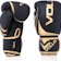 Top 10 Melhores Luvas de Muay Thai em 2022 (Naja, Everlast e mais)
